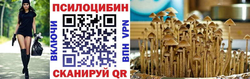 наркошоп  Усть-Кут  blacksprut ссылка  Галлюциногенные грибы Psilocybe 